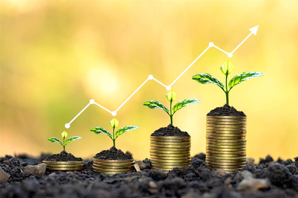 ONLINE - CONTABILIDADE AGROPECUÁRIA Pessoa Física e Pessoa Jurídica: Abordagem Contábil, Tributária e Comentários sobre o LCDPR - (8 PONTOS CRC)
