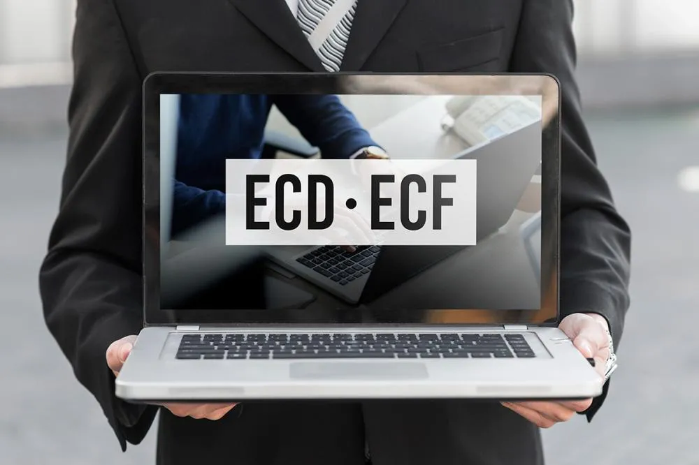 ONLINE - ECD E ECF - Treinamento Intensivo - (8 PONTOS CRC)
